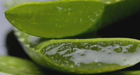 ¿La pasta dental con aloe vera es beneficiosa para las encías?